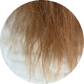 damaged hair.png