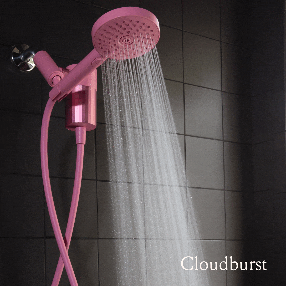 Hand Shower + Filter